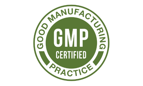 RingZen6  GMP